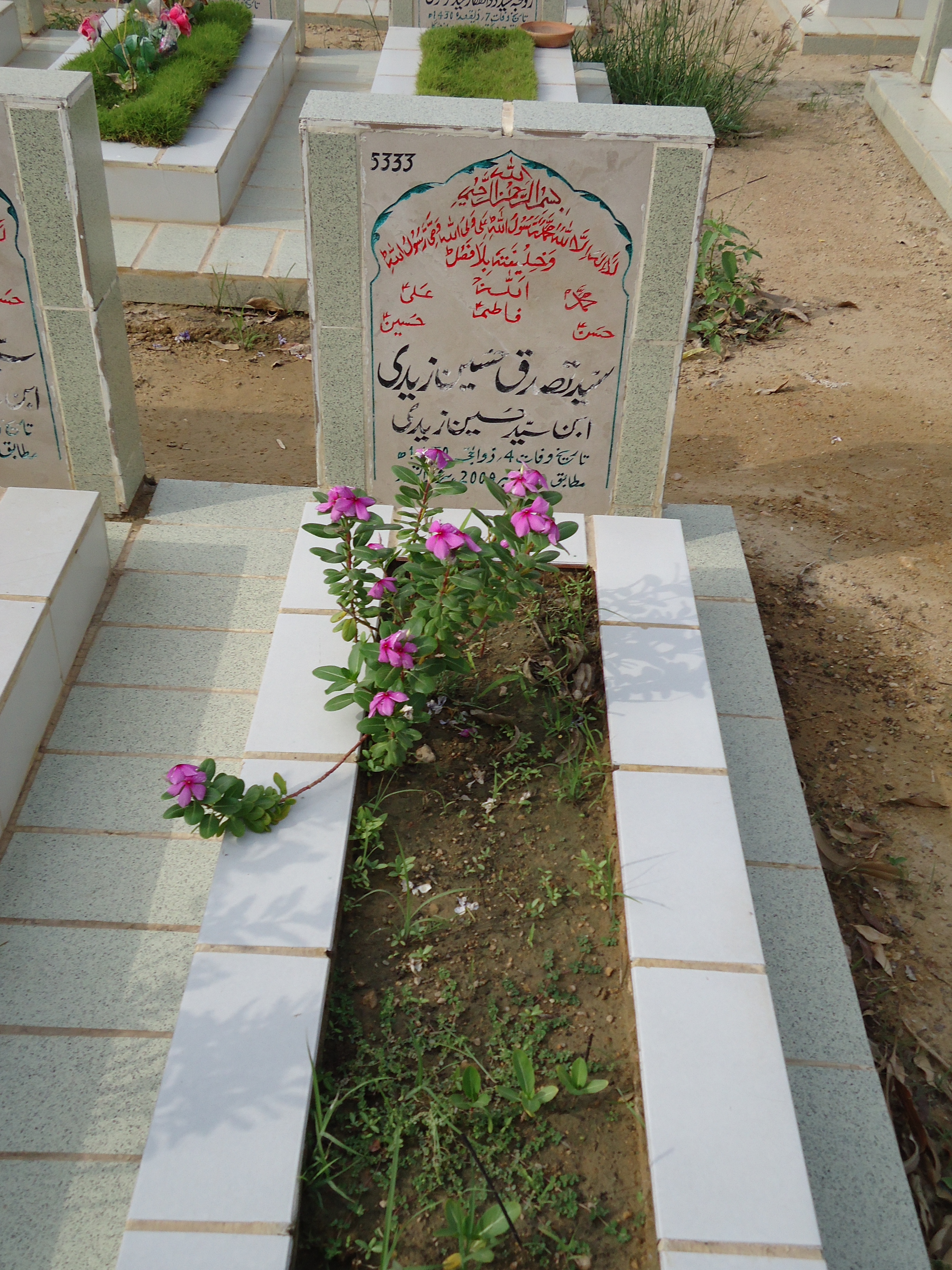 5333 – Syed Tasaduq Hussain Zaidi